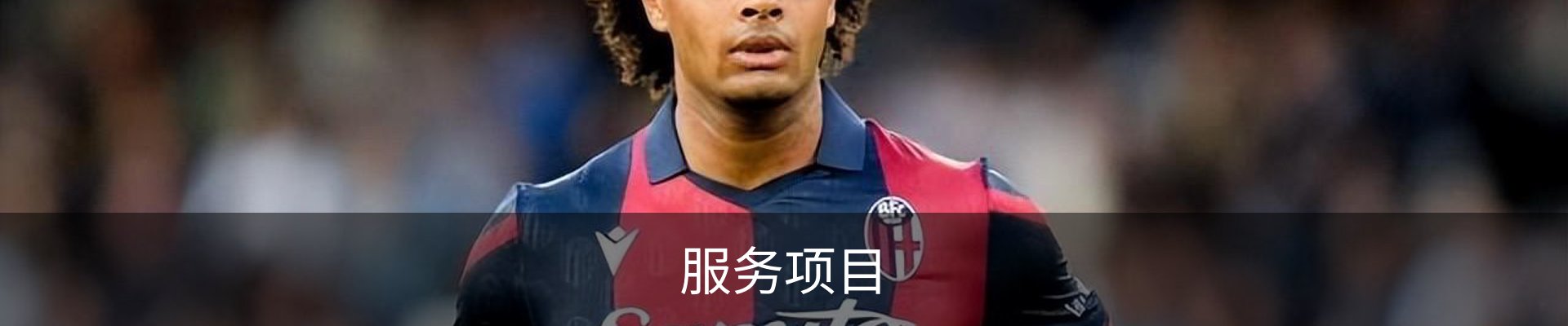 服务项目